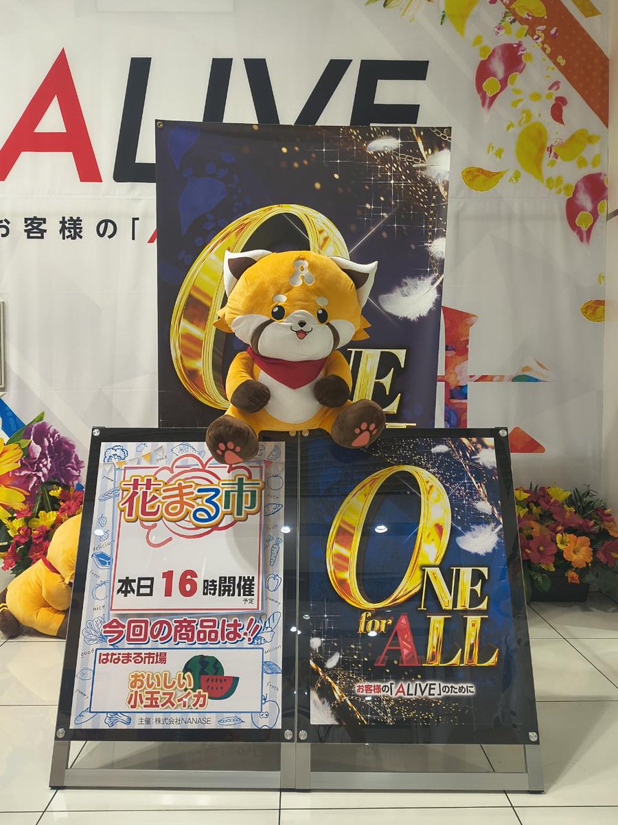 ALIVE_ohta's tweet photo. 🌞8⃣月1⃣0⃣日⭐朝1⃣0⃣時オープン🌞
最新台導入済＆好評稼働中✨
今週も地域最大スケールのラインナップにて
お出迎えとなります👍👍

🌸はなまる市開催🌸
夏にピッタリ❗️
【小玉スイカ🍉】をご用意しました(*^▽^*)
1⃣6⃣時より販売開始予定😍

🤩ご来店お待ちしております🤩 https://t.co/IYca1MXtFj