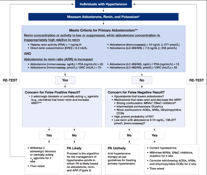 RhenalsMedint's tweet photo. Debemos tamizar hiperaldo primario a TODO hipertenso, en la practica sabemos que no ocurre.

Una de las razones es "pereza" a hacer washout de los antihipertensivos antes de las pruebas. Recuerda que por guias esto NO es necesario. Toma los test CON los antihipertensivos. https://t.co/zQC3LBTC8h