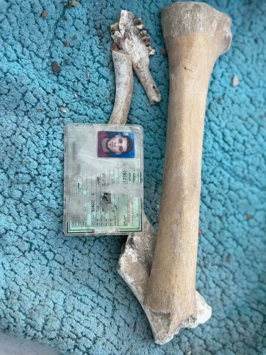 OmarHamadD's tweet photo. This is all that remains of the body of a young man... He was trying to survive with a bag of flour to feed his family, but Israel insisted on leaving behind nothing of him but these bones. Beside those bones, this ID card was found, no one knows, it might be his, or it might not.

Instead of these young men going to their jobs, persevering, succeeding, and excelling in their fields, their bones lie scattered on the roads. Fate may bring us together to find them, or time may bury them away forever.
