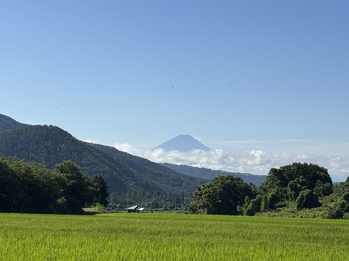 ruska_romi's tweet photo. 白フレアスカート履いてるさん

#おはよう富士山 https://t.co/zLEnwp2HQO