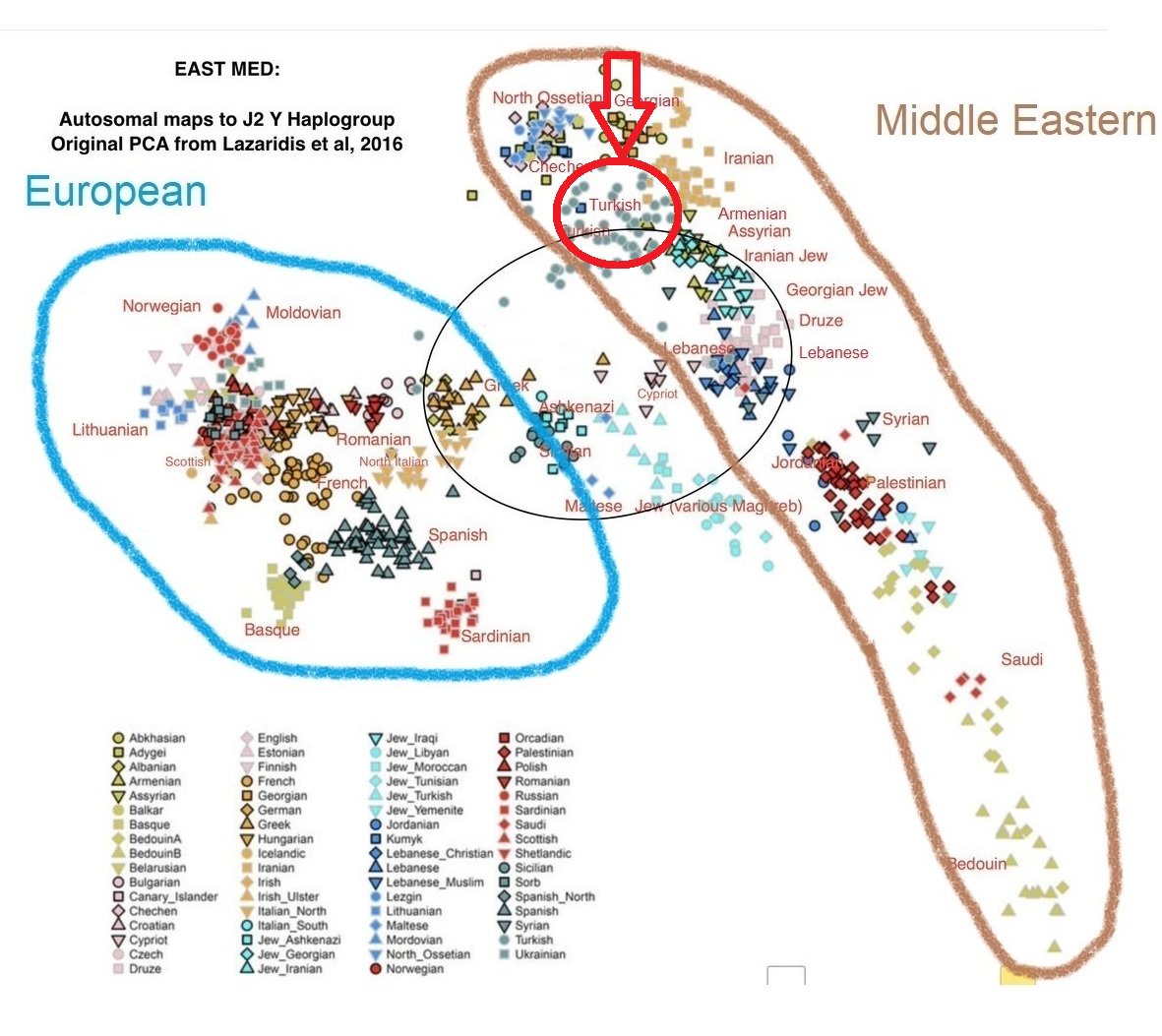 TheCommander99's tweet photo. @hasanthehun Turks aren't White. They're a brown middle eastern race

every genetic study says the same thing: https://t.co/xMjnR17sOt