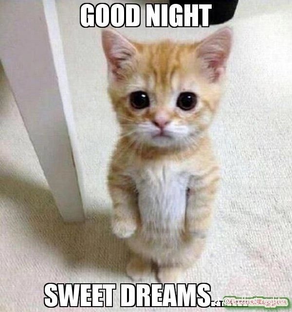 ellieconnect's tweet photo. GN CT 
We go again tomorrow 🌚 https://t.co/kzLHecM2Li