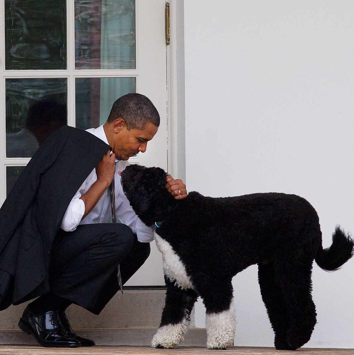 Miti_Blue2's tweet photo. Dogs know who the good people are &amp; good people love dogs ♥️🐕‍🦺🐾 https://t.co/NGdh9cHjnb