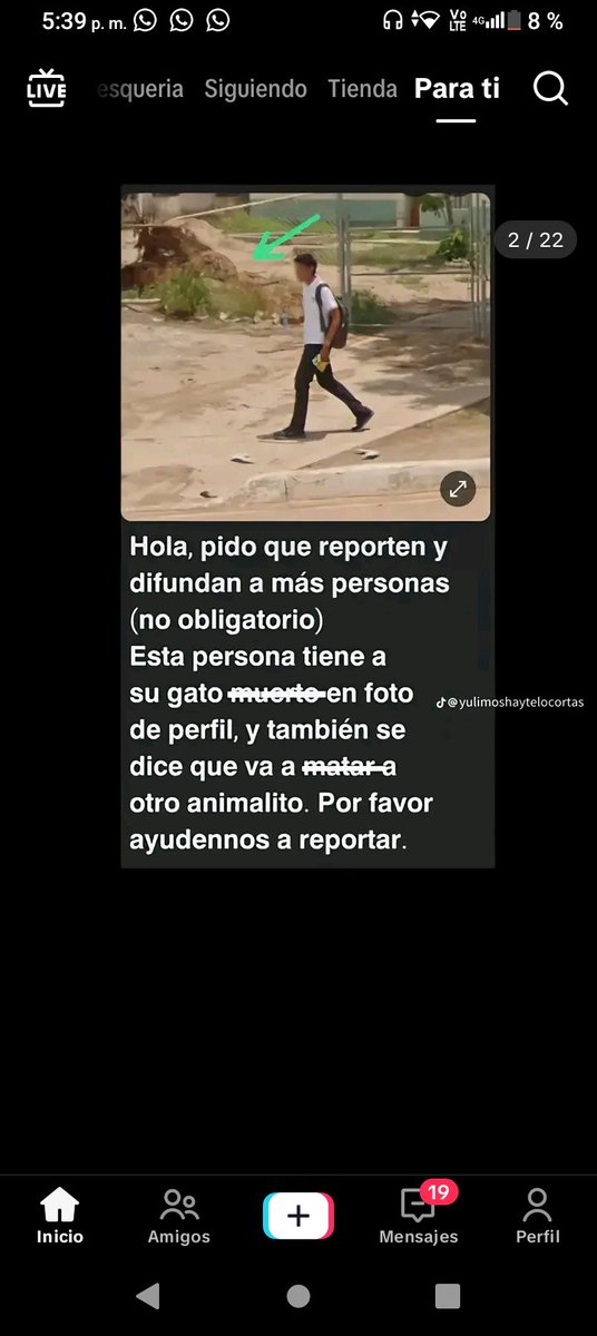 Mango_00x's tweet photo. traigo mas información,al parecer hay una chica que lo esta incubriendo,son dos el chico dexx y la chica,se dice que la chica no m#t al gato y que solo se puso esa fto para molestar,pero tambien esta el chico que el puede ser que haya colaborado con ella,y pasa  el link del grupo https://t.co/EoTdiyfcqj