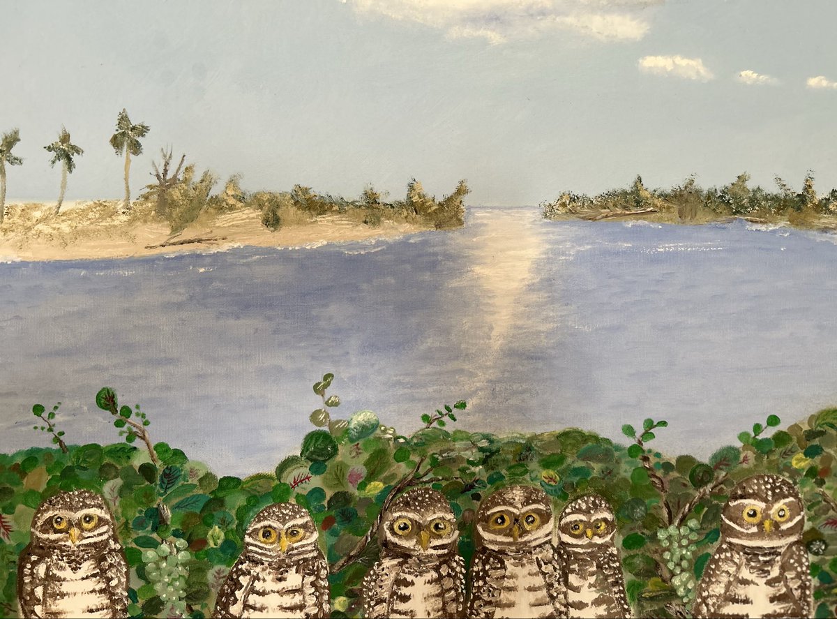 Timthebaker33's tweet photo. Southwest Florida 
oil on canvas https://t.co/wt1im1Io5J