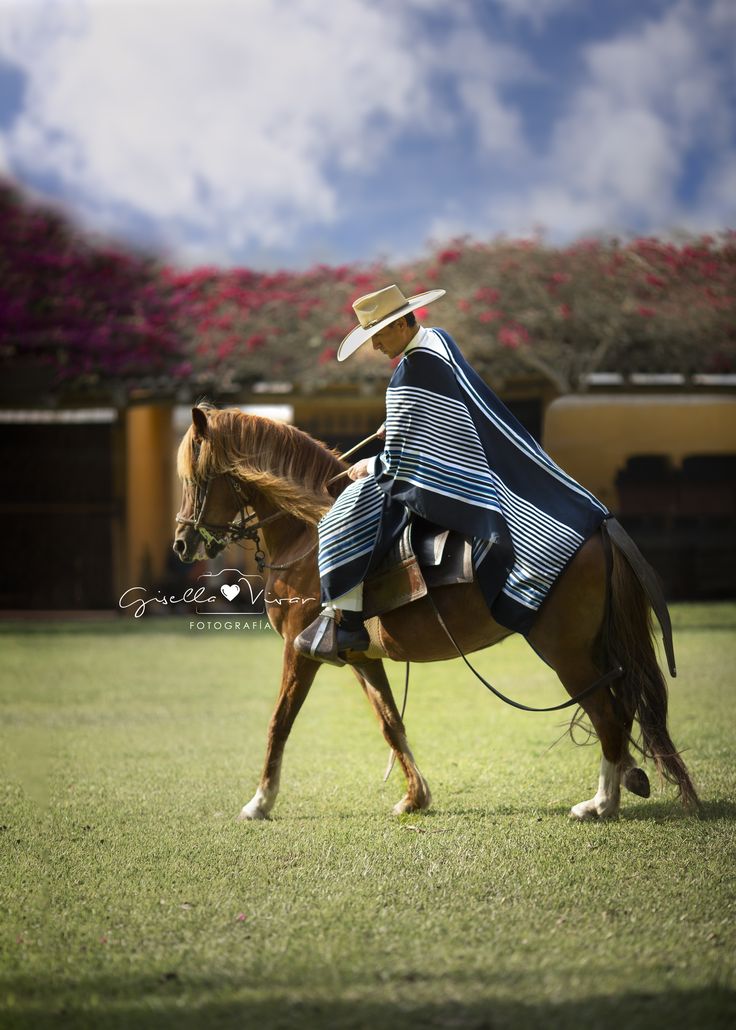 JeanPierre56793's tweet photo. @VirtusChilensi2 (ponchos andinos de la cultura norteña peruana)
según este chileno sin identidad, estos ponchos fueron copiados del huaso chileno español y andaluz, a espera es cierto, no existio influencia andaluz en Perú, como llegaron aqui? jaja https://t.co/yV1kTbDYtd