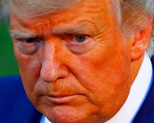 flower18295's tweet photo. @hinds_mela61795 You sure seem to be completely obsessed with the orange face moron. https://t.co/1XUQwwhcIV