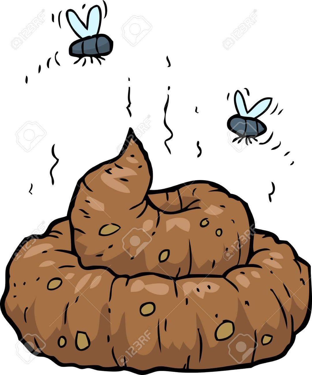 Robby_QuackBush's tweet photo. @JamieBonkiewicz https://t.co/EEDBxtpgUi