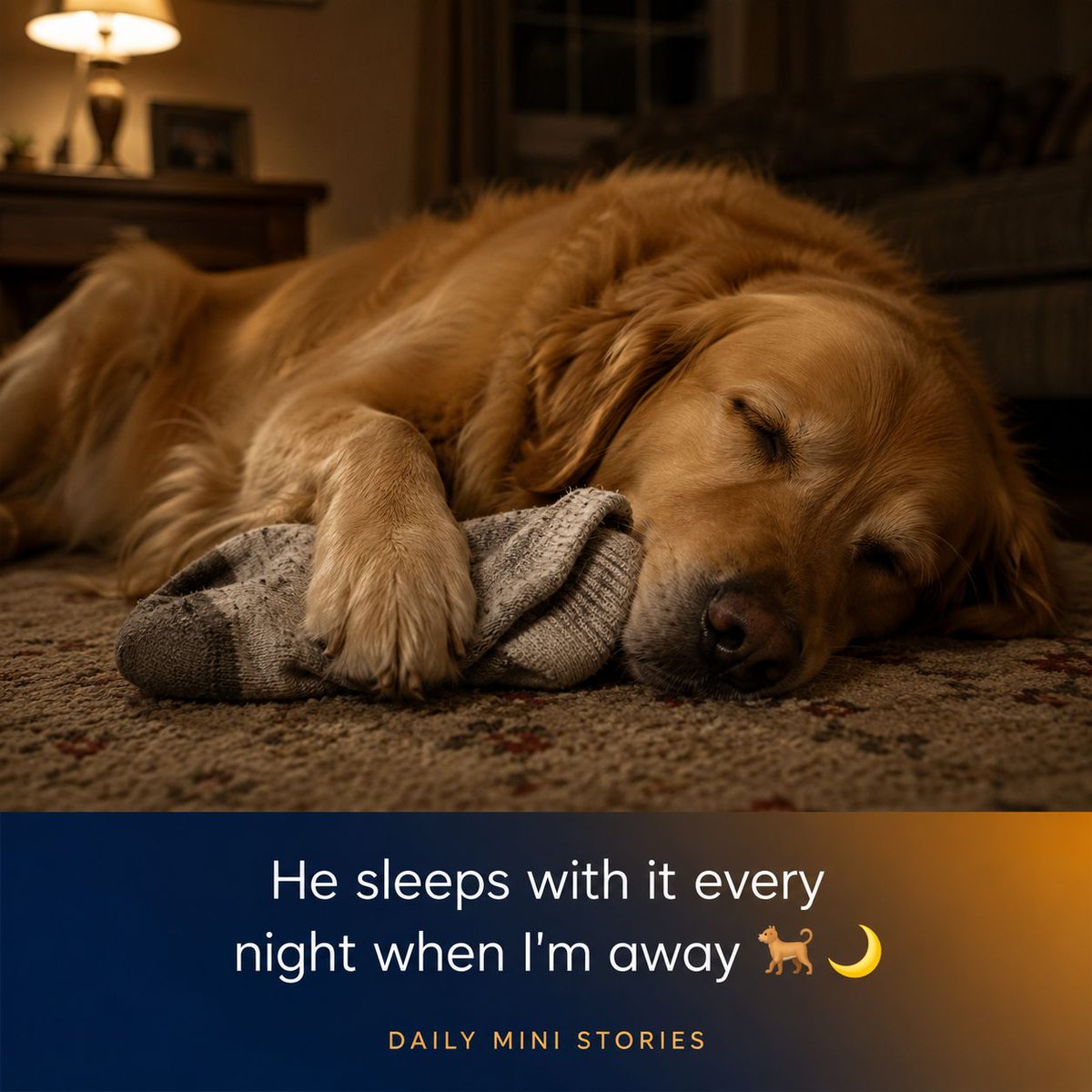 DailyMiniStorie's tweet photo. Every time I go away, he takes a sock out of the laundry basket.
Not a clean one.Never a clean one. It has to be one I've worn.
He carries it around all day and sleeps with it between his paws at night, and my mum sends me a photo of it every evening like a small daily heartbreak https://t.co/s9biaJonfP