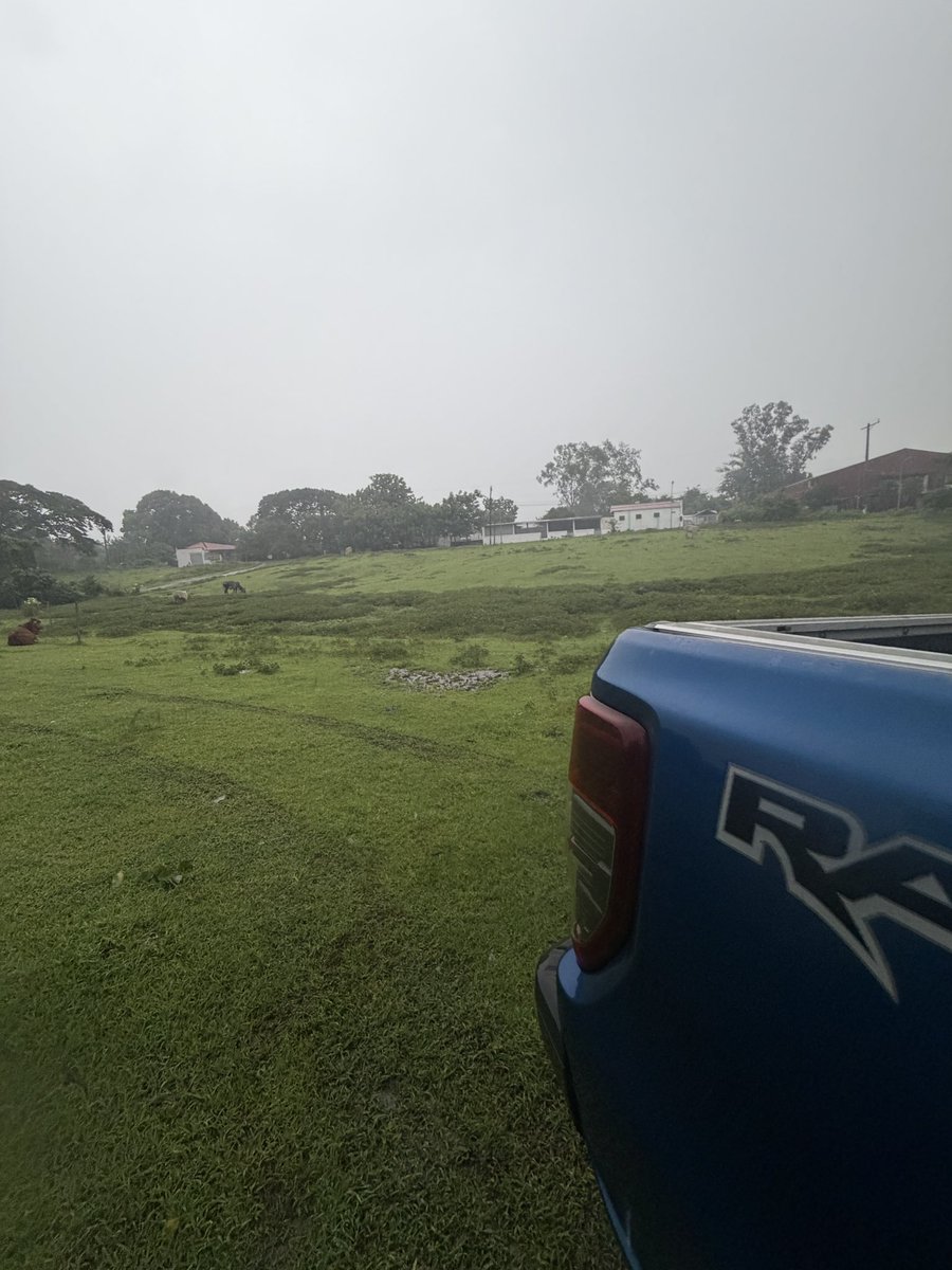MiningMiranda's tweet photo. Very cool weather Monday.  went here sa farm to touch grass and reboot my circadian rhythm

Umuulan ulan pa rin.

👇
To reset your circadian rhythm by touching the earth, walk barefoot on grass, sand, or soil for 10 to 20 minutes each morning. You feel earth's magnet 🙏 https://t.co/Hhz73WsqsU