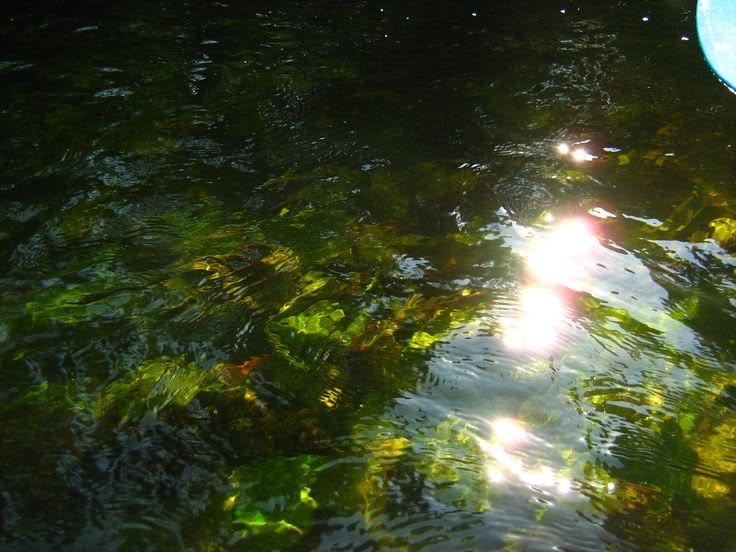 greenvibe's tweet photo. natural water aesthetics. https://t.co/0y4c3A0HJT