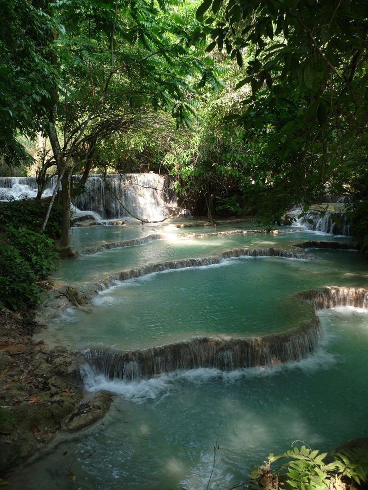 greenvibe's tweet photo. Isn’t everything that belongs to nature so beautiful? https://t.co/hnbCzPtVO2