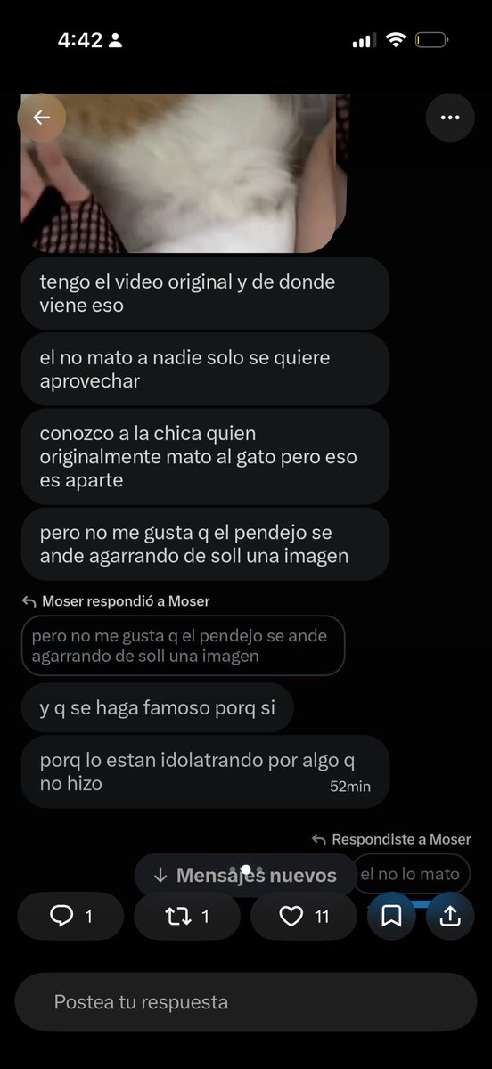 Anaiohttp's tweet photo. Más pruebas de que ella mato al gato y el pendejo de la foto del perfil de robo la foto: https://t.co/pNh1qhRR6F