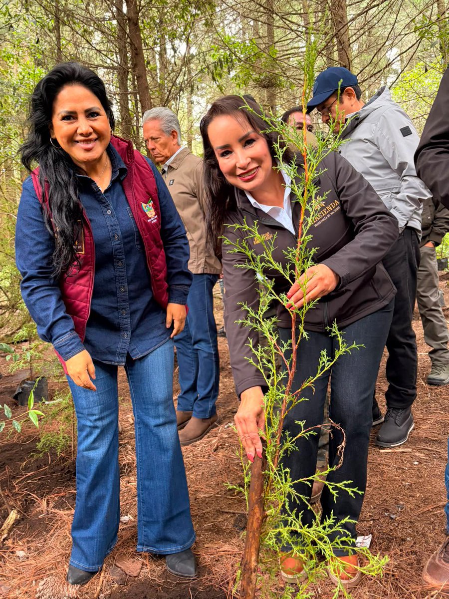 Esther_RamirezV's tweet photo. Acompañé al gobernador @juliomenchaca_  en la Jornada Nacional de Reforestación 2026, donde nos enlazamos con la presidenta @Claudiashein para sumar a Hidalgo a este esfuerzo que hoy une a todo el país. 🌱🌲 https://t.co/13QQc4Tqdw