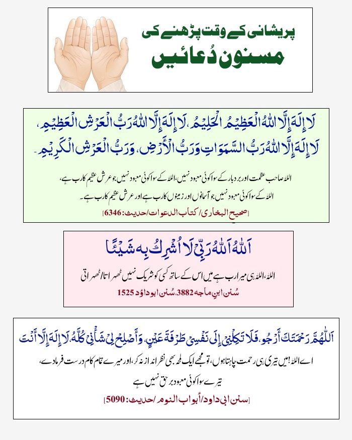 sadiamalik778's tweet photo. #Islamicbooks_education https://t.co/Nn8HHmHsLP