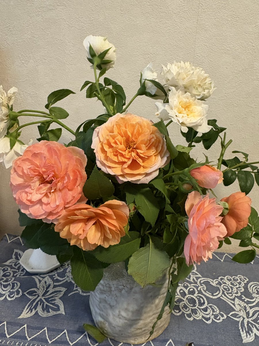 AngelaRonsard's tweet photo. おはようございます😃
#シルクロード
 夏の花もかわいくていい香り
#フランシスバーネット 
ピンクではなくてオレンジ入ってる。
夏もたくさん咲いてます。
#ロサオリエンティスプログレッシオ https://t.co/avT7gQodsr
