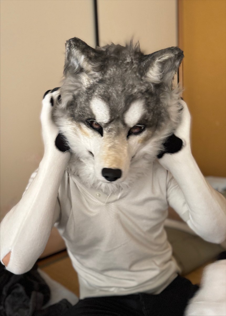 kage91_shinca's tweet photo. モフに囲まれた土日でしたありがとうございました🥰🙇‍♂️ https://t.co/Xff5erAl36