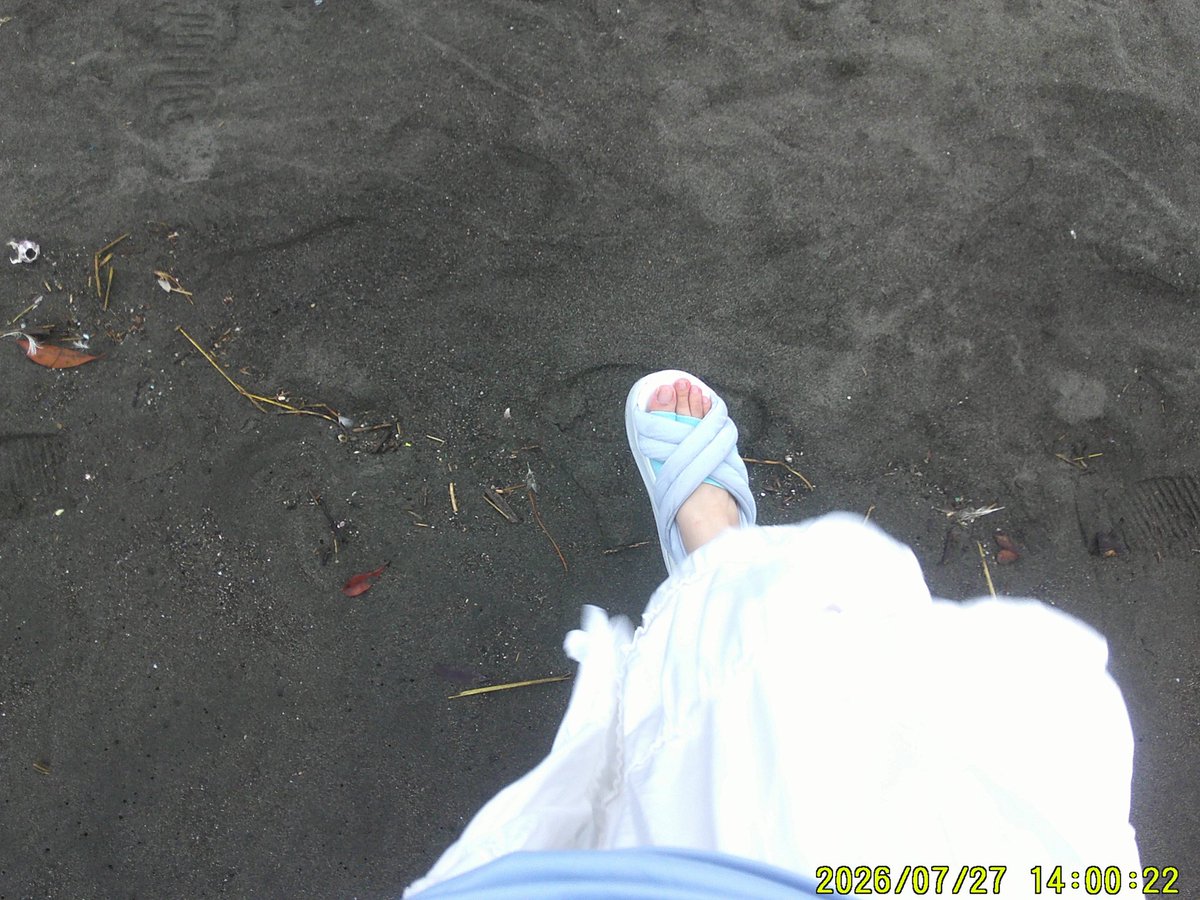 tym_inuinu's tweet photo. 夏をしています。 https://t.co/wM4rjFnE9g