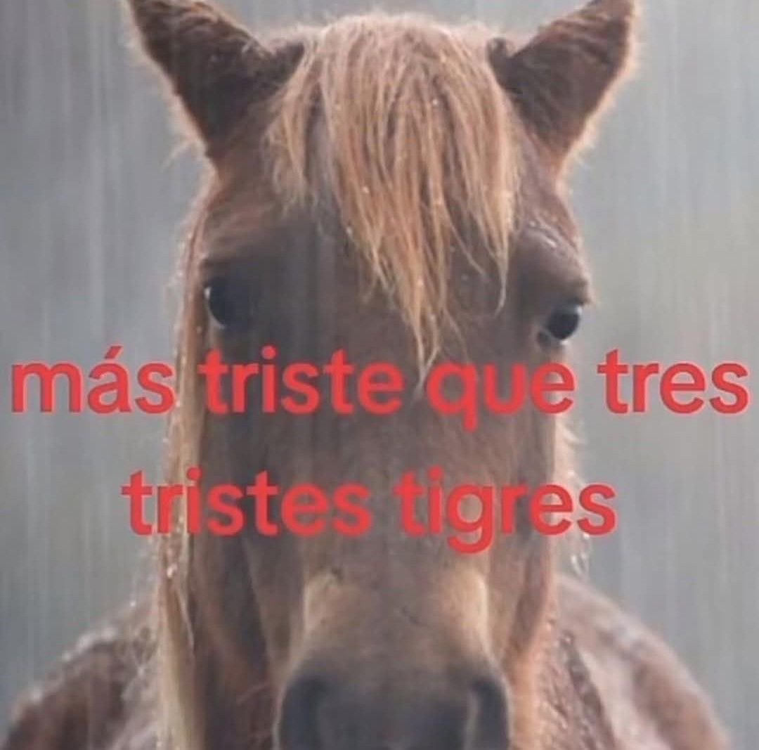 rnhikk's tweet photo. Chikos interactúen conmigo https://t.co/GgCBANrcaq