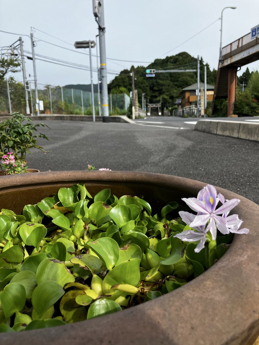 masaru_03010's tweet photo. 「おはようございまーす🖐️」
本日は大内一也県議に熊毛勝間へ来て貰い共に元気よくご挨拶させて頂きました。

この熊毛地区は周南市の中でも中心部よりやや離れた地域ですが
徳山、新南陽地区や近隣の光市、下松市は工業地帯ですのでベッドタウンとして多くの方が生活をされています。

定期的に、そして地域の催しに議員に来て地域を見て貰い
住み良い熊毛地区、選んで貰える熊毛地区を目指し地域に残る伝統も守れればと思います。
お気軽にお声��けください。

さて比較的に涼しく感じた朝でしたが
日中は暑くなりそうです。
皆さんも体調には気をつけて良い一日をお過ごしください👋

国民民主党山口県連

大内一也 周南市

石田たくなり 防府市

西尾たかお 周南市

せきたに拓馬 山口市

酒本けいの 下関市

野村ゆうたろう 山口市
