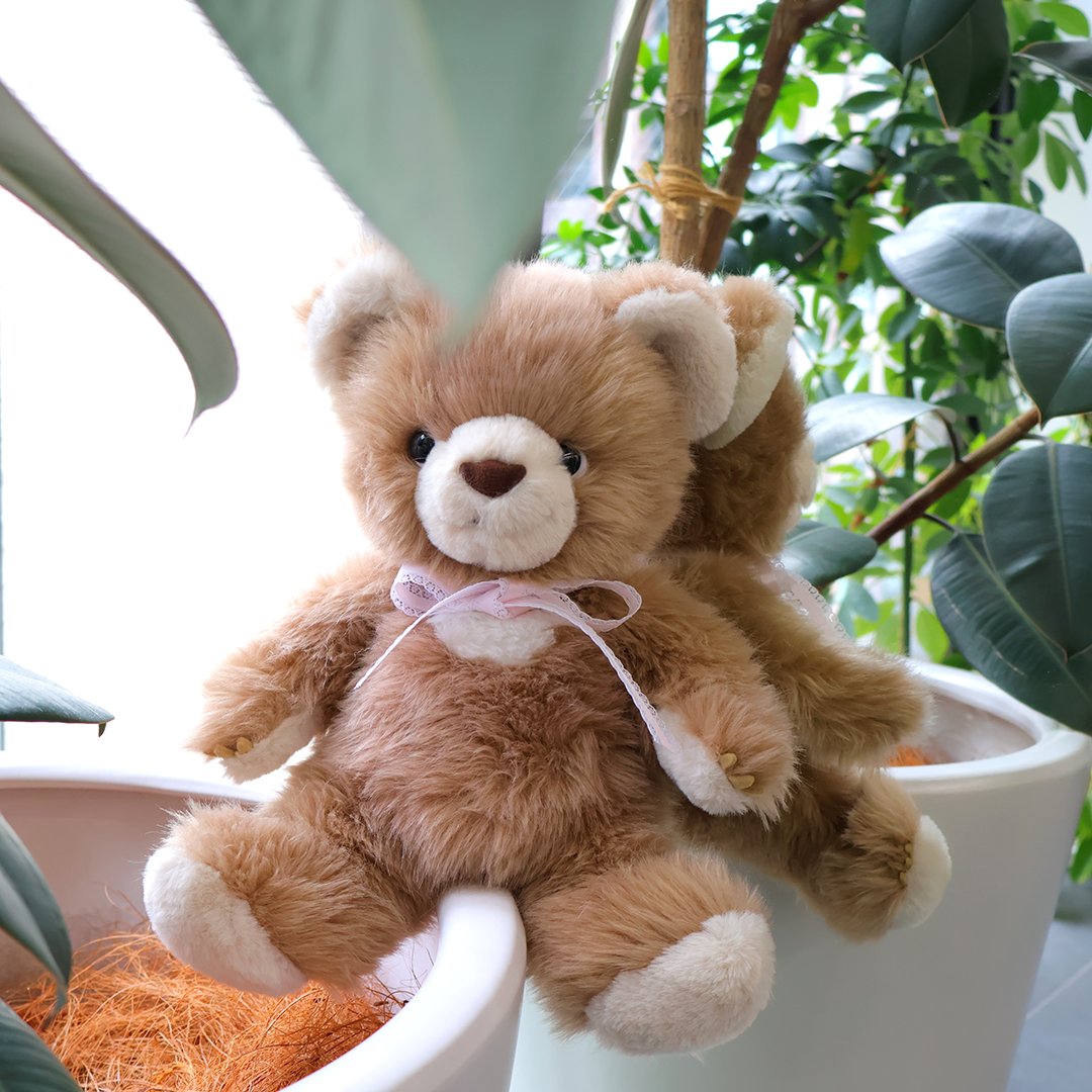 サン・アロー公式オンラインショップ (@teddys_shop) / Posts / X