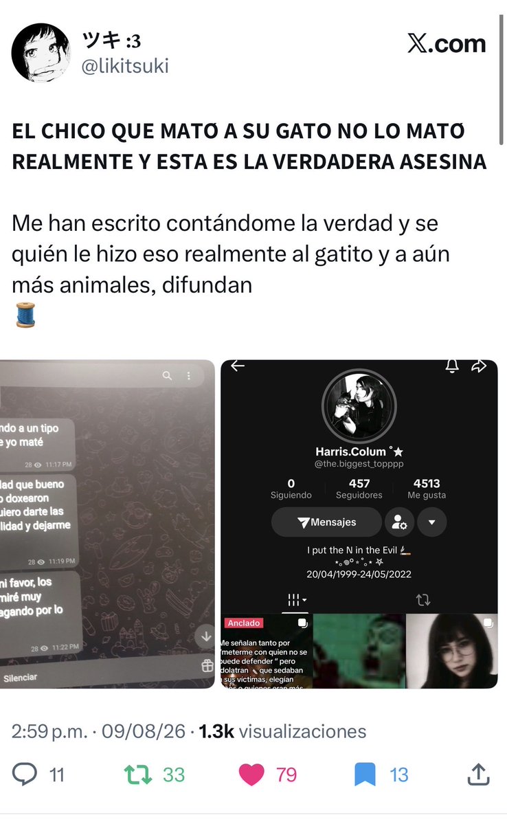 Anaiohttp's tweet photo. 🚨NUEVA INFORMACION "VANESSA N EVIL” FUE LA QUE 4s3s1n0 AL GATITO NO EL P3Nd3J0 QUE SE PUSO DE FOTO DE PERFIL AL GATITO,DIFUNDAN POR FAVOR ESTA PERSONA NECESITA SER DETENIDA O DOXXEARLA PARA DARLE CARIÑITO🚨creditos: https://t.co/e8qpeQOwGC
