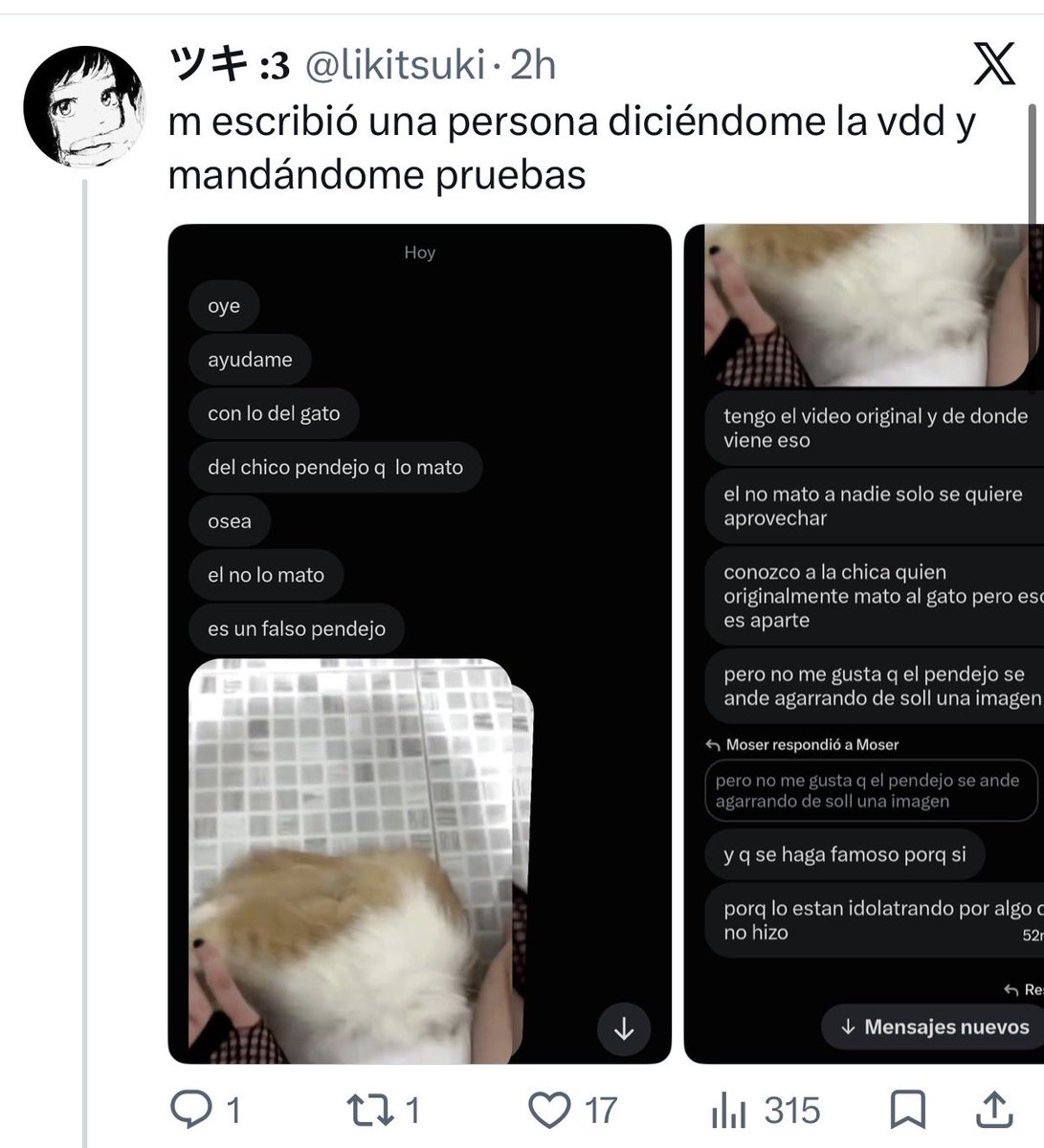 Anaiohttp's tweet photo. 🚨NUEVA INFORMACION "VANESSA N EVIL” FUE LA QUE 4s3s1n0 AL GATITO NO EL P3Nd3J0 QUE SE PUSO DE FOTO DE PERFIL AL GATITO,DIFUNDAN POR FAVOR ESTA PERSONA NECESITA SER DETENIDA O DOXXEARLA PARA DARLE CARIÑITO🚨creditos: https://t.co/e8qpeQOwGC