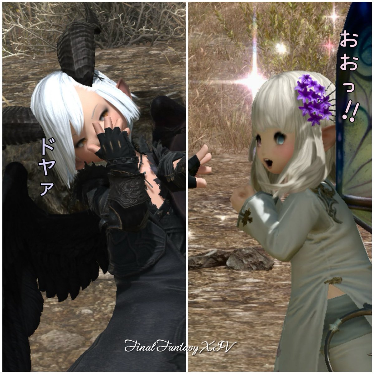 memr_div's tweet photo. ぐっももーにン🍑ᩚ
昨日は遊びまくりよ〜！
またまたシキさんに
たくさん手伝って貰ったのん🎶
本当に助かってますん✨️
いつもあざますね( *´꒳`*)🎵

今日も楽しぴ一日を❣️
ゆるふぁい🌹✨️

#FF14 #FF14SS #おはララ #ララフェル https://t.co/a8xsMXJREW