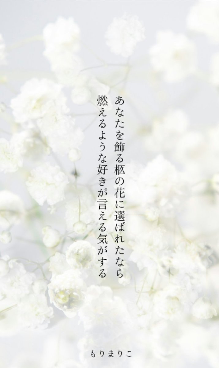 2026年短歌190】 あなたを飾る柩の花に選ばれたなら #短歌 #tanka