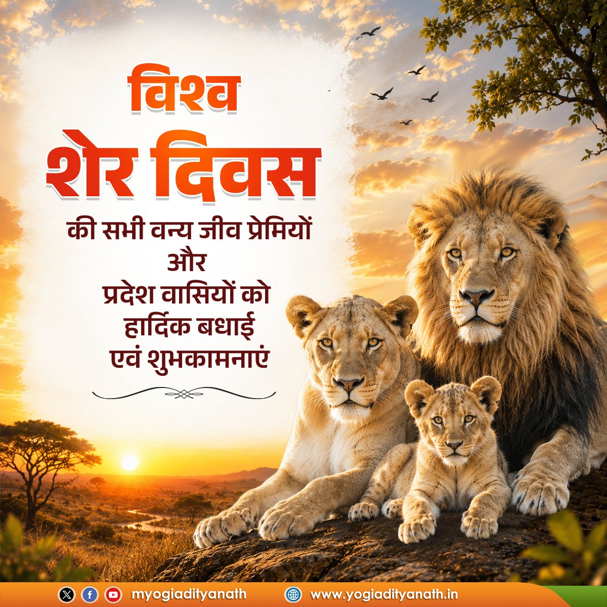 myogiadityanath's tweet photo. शक्ति, शौर्य और स्वाभिमान के प्रतीक ‘शेर’ का संरक्षण केवल एक वन्यजीव प्रजाति की रक्षा तक सीमित नहीं है, बल्कि यह हमारी समृद्ध जैव-विविधता और प्रकृति के संतुलन को बनाए रखने की एक समग्र दृष्टि है।

उत्तर प्रदेश सरकार पर्यावरण संरक्षण और पारिस्थितिकी संतुलन के प्रति निरंतर प्रतिबद्ध होकर कार्य कर रही है।

आइए, 'विश्व शेर दिवस' पर प्रकृति के इस प्रहरी के संरक्षण का संकल्प लें, जिससे आने वाली पीढ़ी को एक सुरक्षित और समृद्ध धरा विरासत में मिल सके।