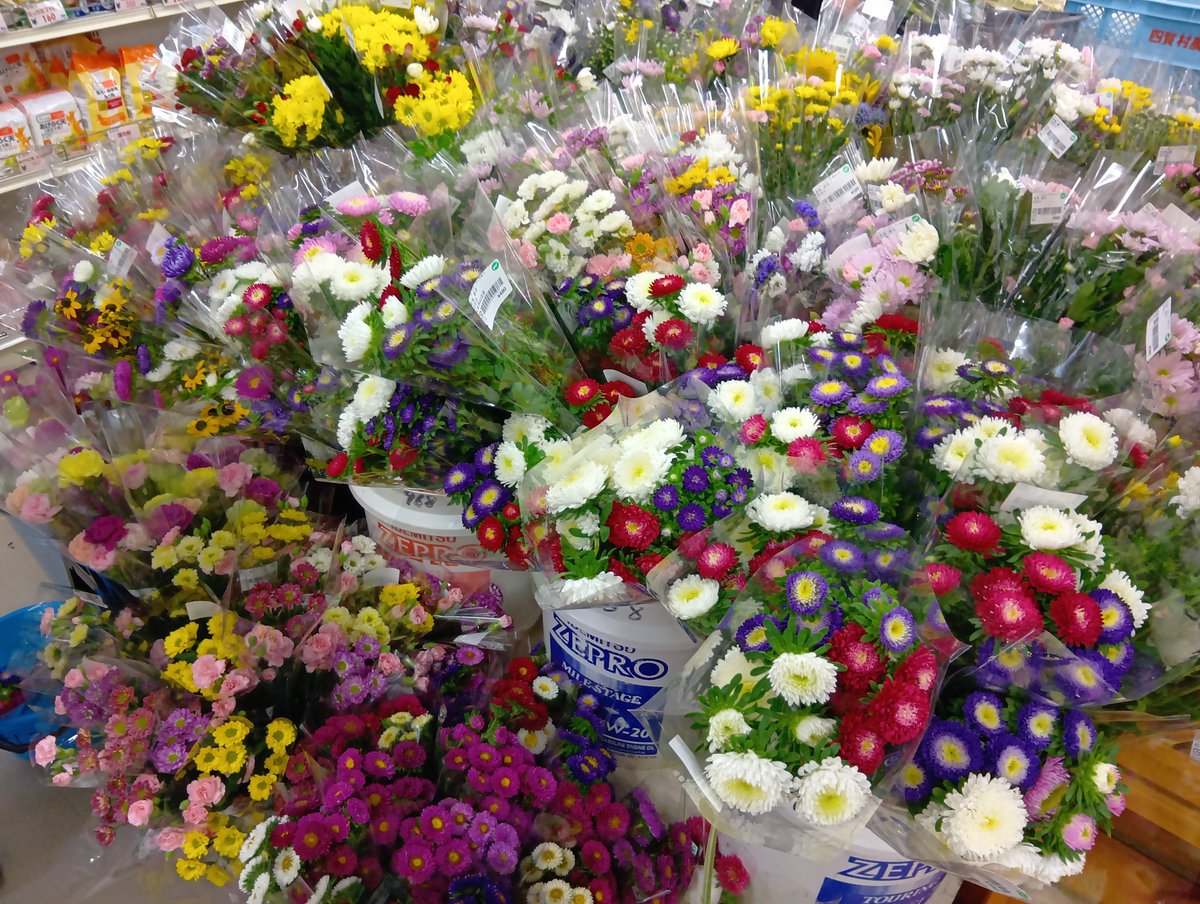 fg_yamabe's tweet photo. お盆の花ご用意しております。
#山辺ワイナリー　#ファーマーズガーデンやまべ　#盆花　#農産物直売所 https://t.co/zUxXMb2w60