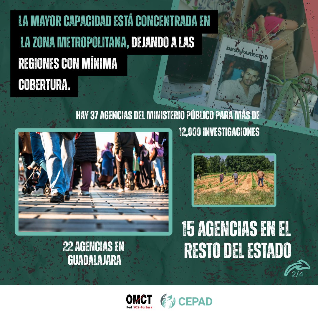 CEPAD_AC's tweet photo. ⚖️ Buscar a una persona no debería depender del municipio en el que desaparece.

📊 Las desapariciones aumentan y las instituciones enfrentan sobrecarga, una distribución desigual de recursos y obstáculos que limitan una búsqueda efectiva en todo Jalisco.

🤝 Fortalecer las capacidades institucionales, garantizar atención digna y coordinar los esfuerzos de búsqueda es una obligación del Estado.

✊🏽Desde el CEPAD exigimos al @GobiernoJalisco la distribución de recursos que permitan la búsqueda de las personas desaparecidas en Jalisco. 

@prishdez
@SergioRenedDios
@Tancasillas
@Mariomarlo
@sonia_ssi
@MarckHdez10
@FiscaliaJal
@GobiernoJalisco
@Busqueda_MX
@WGEID
@omctorg
@CEDHJ