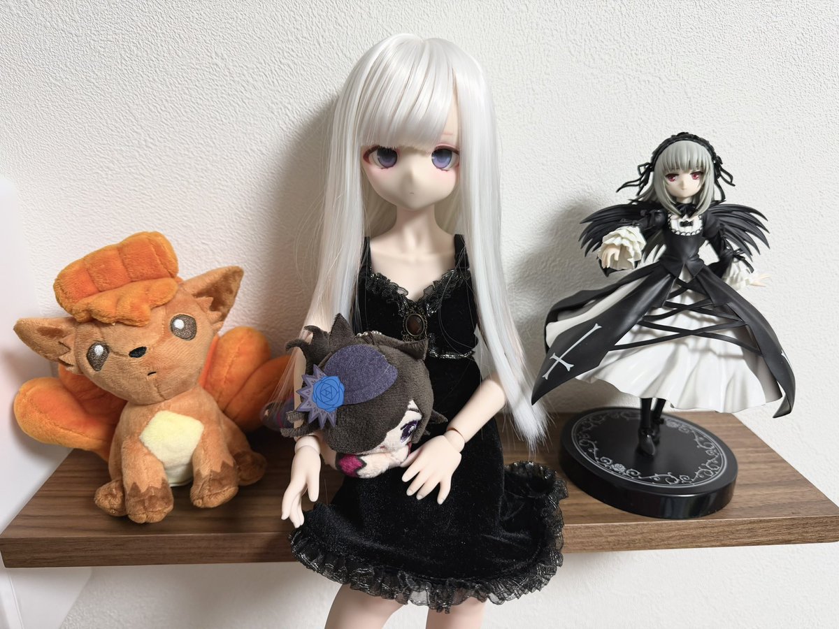 gigadelic2's tweet photo. ほまに可愛い

#うちのこかわいい
#MDDはいいぞ https://t.co/vdvryHHET0