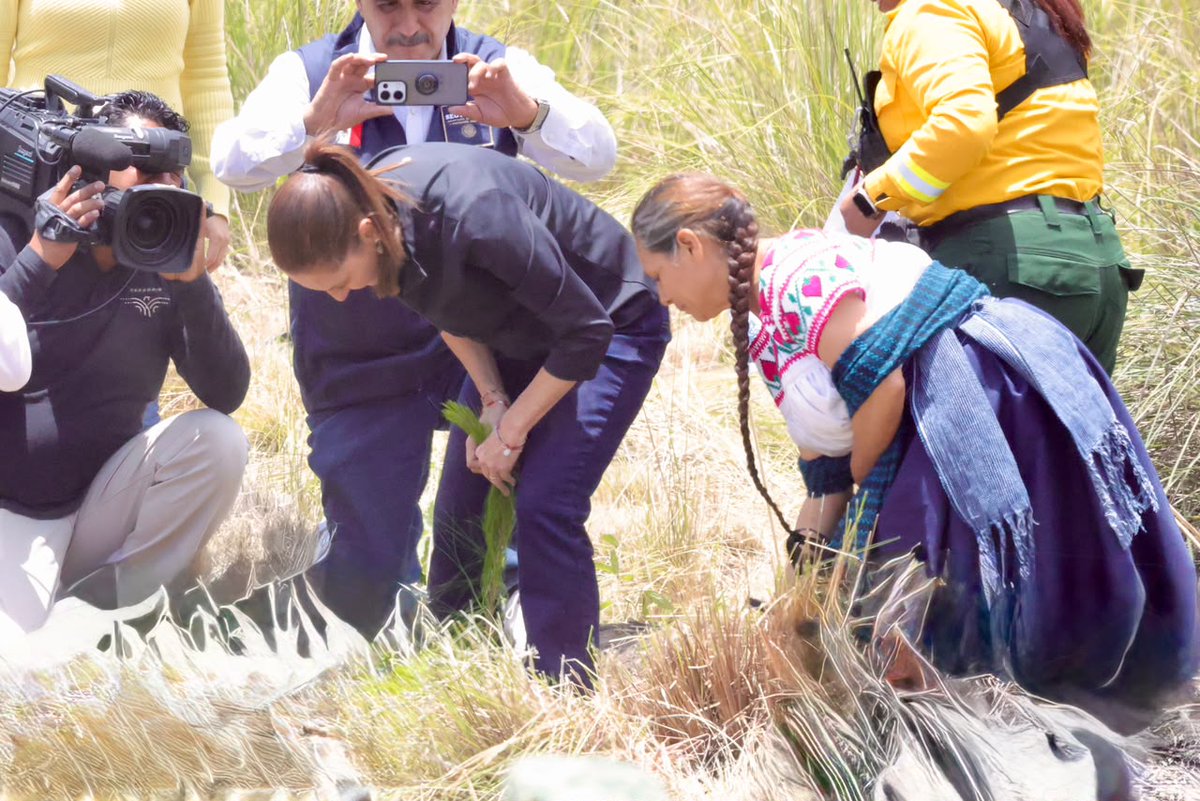 Gob_Puebla's tweet photo. 📢Desde Puebla, la presidenta @Claudiashein firma decreto para reforestar a México y restaurar ecosistemas.🌺🏔️

@armentapuebla_ @GobiernoMX @Agricultura_mex @SEMARNAT_mx 

📰
https://t.co/OzZLuU5rPo

#PorAmorAPuebla #Comunicado https://t.co/1mGpIWjvE6