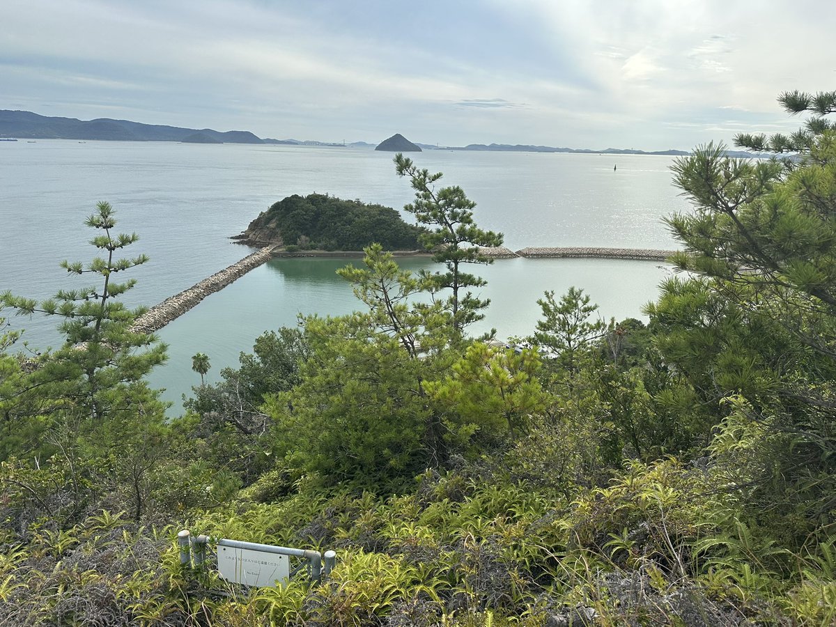 Koi_KNM_SS's tweet photo. #dear_mai 
昨日は運良く、直島で最も有名な美術館の一つ「地中美術館」のチケットをゲット。

太陽の光や時間の変化によって見え方が変わる作品が多くて、かなり面白かったです。
館内はほぼ撮影NGなのが残念でしたが、カフェのテラスからの海景色が最高でした🌊 https://t.co/dQYLzVshOA