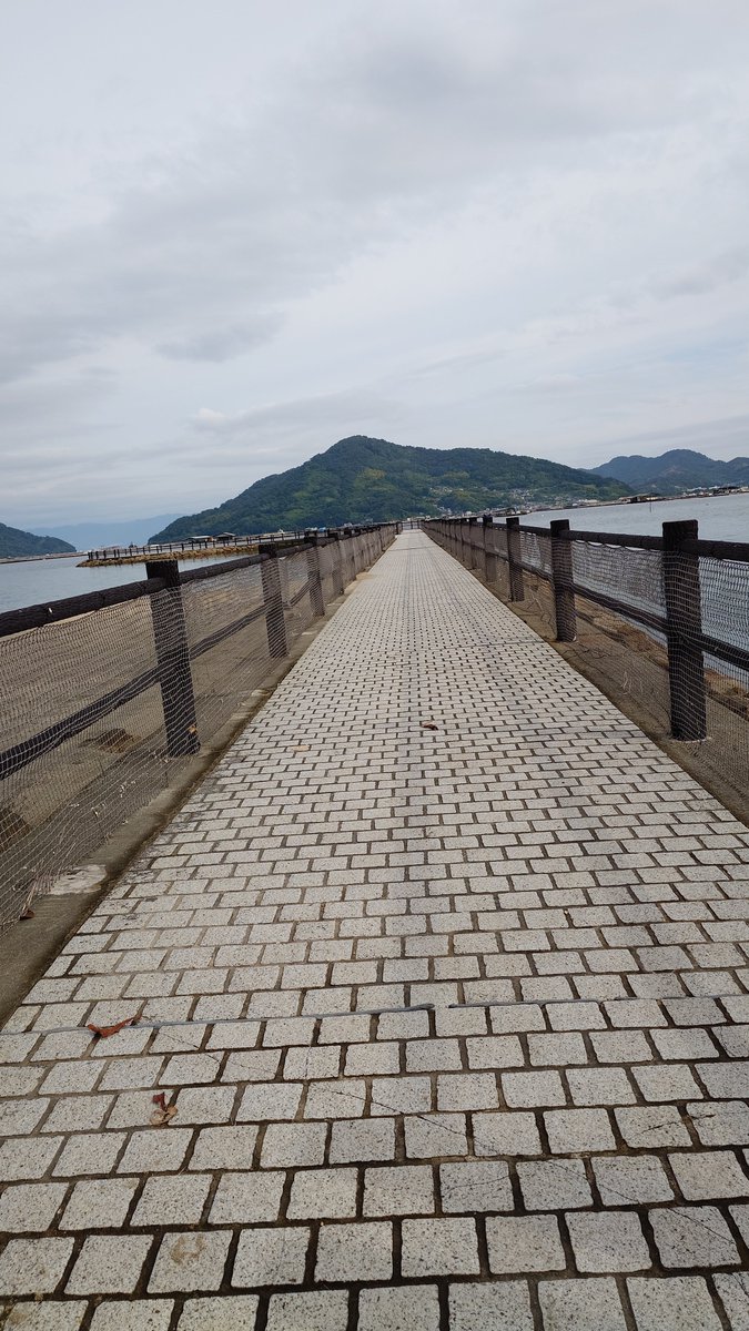 1kenPPP's tweet photo. クリスタルロードは塩が満ちないので遊歩道だった。
なのでカニと戯れてた🦀 https://t.co/d48MoAvZ9d