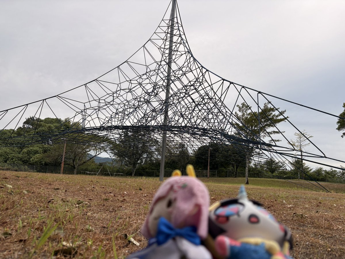 howa0909's tweet photo. おはようございます☀️
小さい頃よく行った公園で朝から登ってきた(*´艸`)
これから水族館行って夜フェリー乗って帰るよ🚢✨️ https://t.co/nz5FTlaAeq