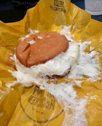 tempestariic's tweet photo. @ionrobotcookie fuck did they do to my burger brah https://t.co/aEiS7zgTub