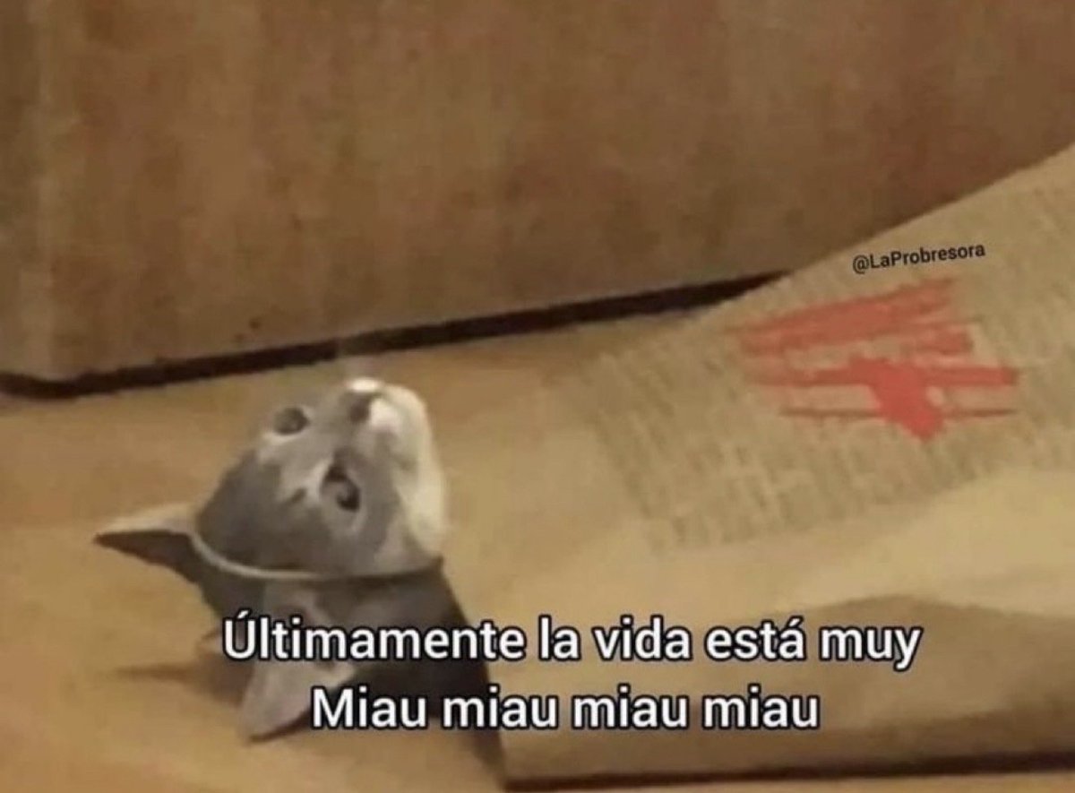 FraseSimple's tweet photo. https://t.co/6mkhXKPv2U