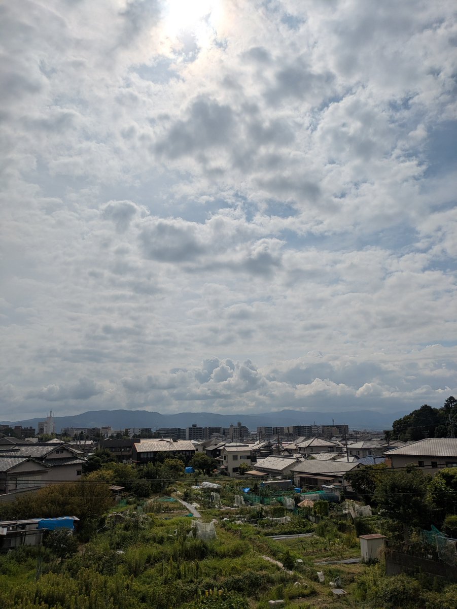 hennara5's tweet photo. 朝散歩 2026.8.10
イワツバメ見かける
#朝散歩
#スベリヒユ https://t.co/qw4ZEzUfMw