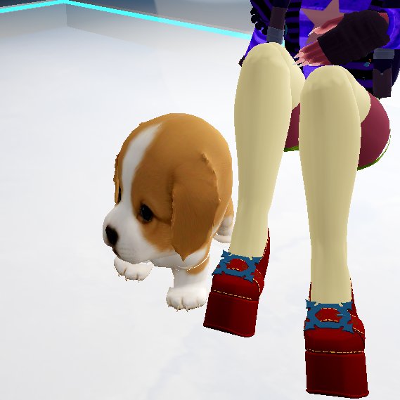 mcribprincess's tweet photo. i met this puppy today named joy in the trading hub❤️❤️ so cutee https://t.co/Q7mjpB65x9
