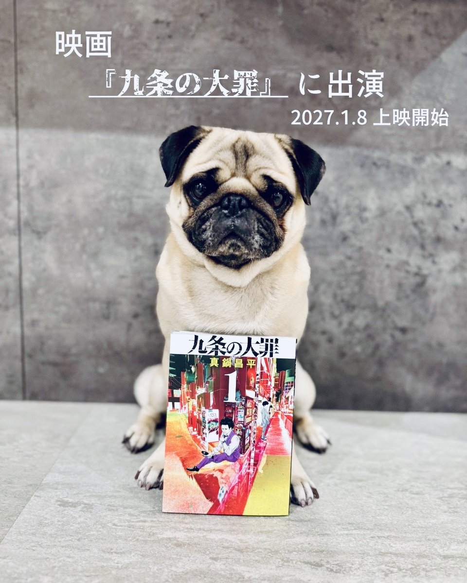 gonsuke_channel's tweet photo. [movie出演] 映画｢九条の大罪｣に出演！
Gonsuke will be featured in a movie

-
ごんすけの『おもち』役、
映画でも是非ご覧くださいませ😁✨
ｾﾞﾋｰ🐶g✨

映画｢九条の大罪｣2027.1.8上演開始

_
#九条の大罪  #pug #sinsofkujo  #おもち #risecake 

▶︎Instagram

https://t.co/BFVmHSpdMH https://t.co/12F05TStQr