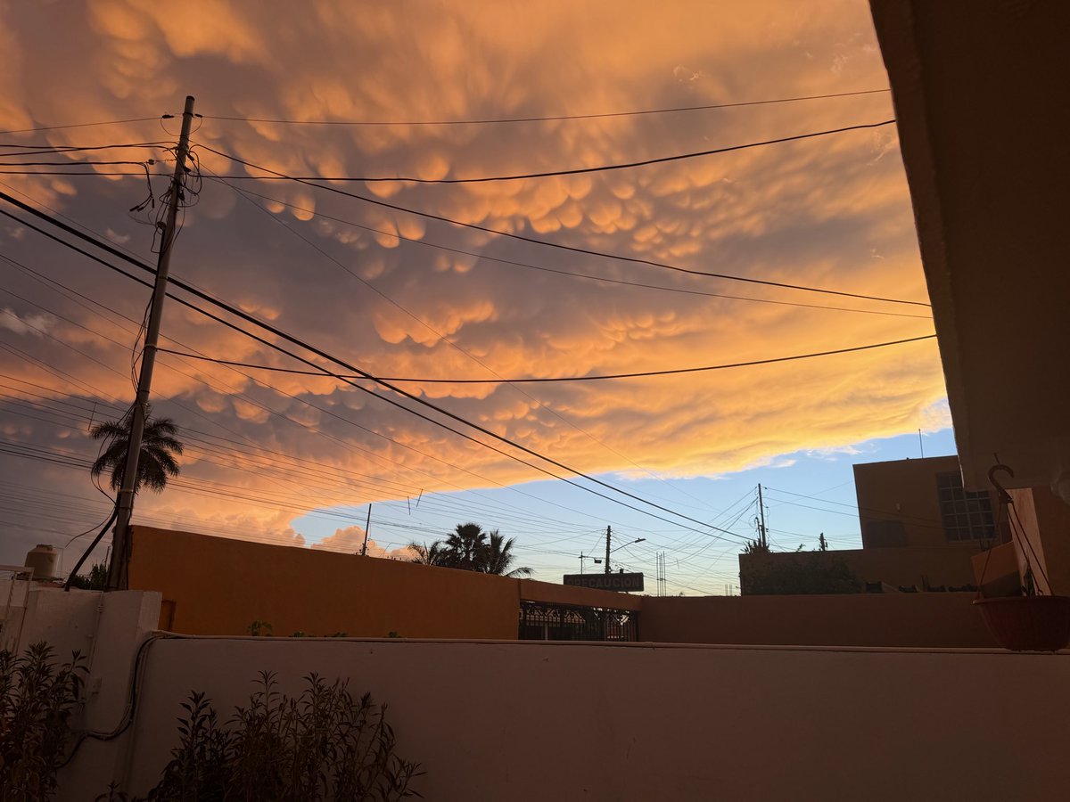 zazacopis's tweet photo. Bello atardecer. https://t.co/n19FDTrziw