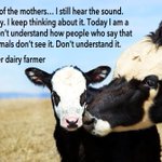 Photo by Compassion 4 Animals (@AmyRoseKathryn)