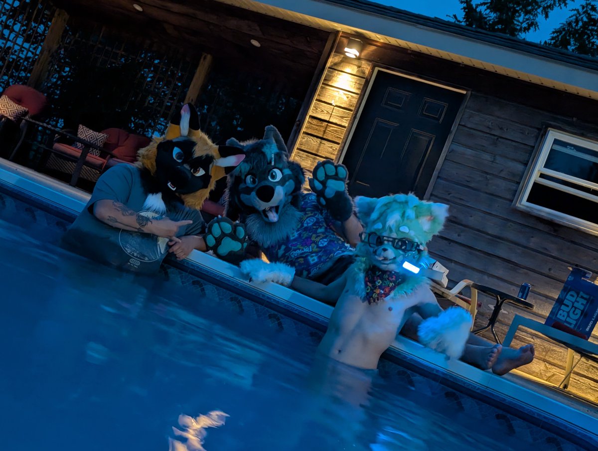 DvLRaphy's tweet photo. At the pool with @olcanachak @SummitTheFox and @K9Boltz https://t.co/dRiZ7vEvey