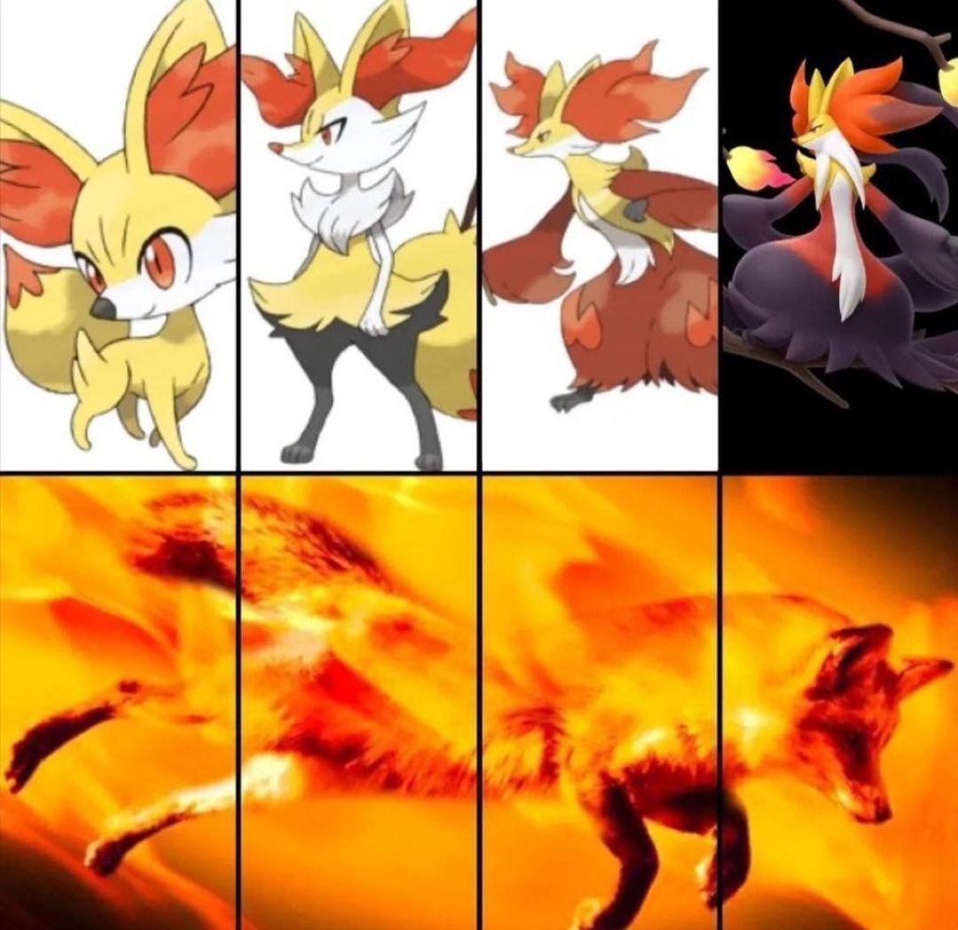 Pokemonpshot's tweet photo. PERFECTION https://t.co/37FsGHBXvO