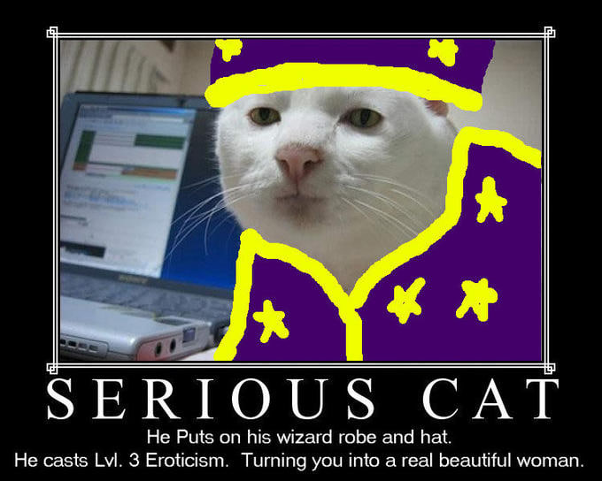 oginthetrenches's tweet photo. @CryptoKaleo send the cats?

but are you serious?

$seriouscat https://t.co/t9SIyLfcWo