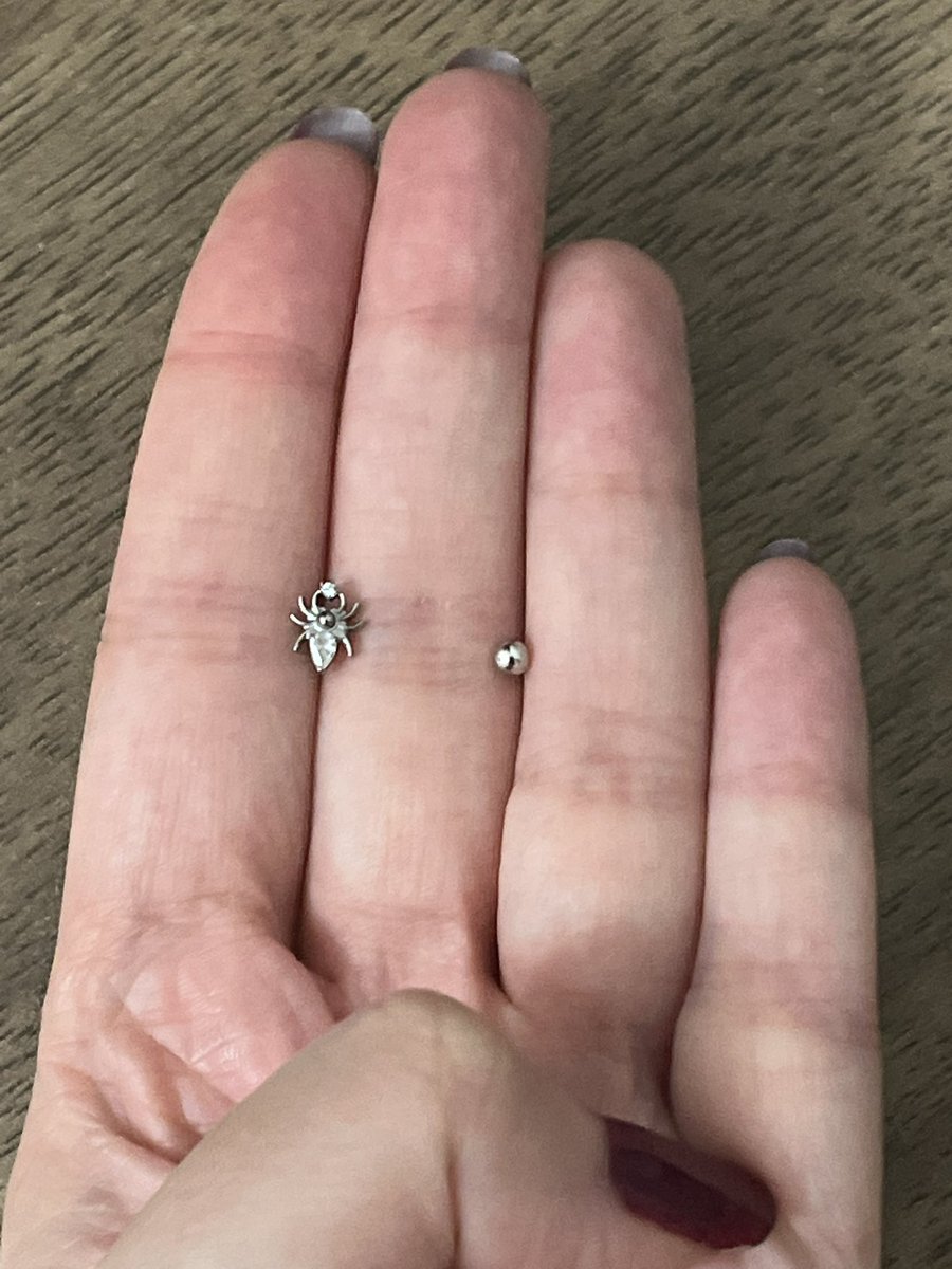 hellokittyamur's tweet photo. hayat çok garip örümcekli piercingimi kaybetmiştim onu ararken aylardır kayıp piercing topumu da buldum https://t.co/z9VkOxoIMk