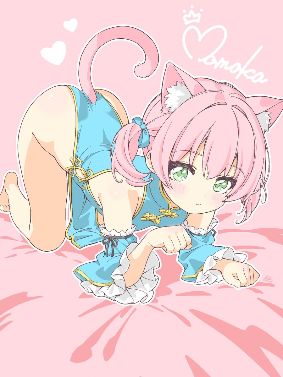 kaz1218ma's tweet photo. #世界猫の日 https://t.co/xwOyeOC4lJ