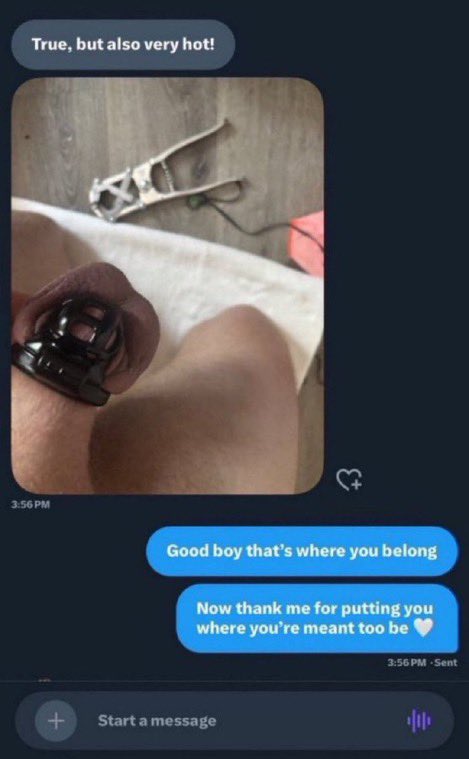 spoilsid's tweet photo. All white bois should be caged forever 🤍🤤

Findom cbt sissy tpe Femdom blackmail lexi forced bi kidslox redhead nsfwtwt techdom parentalcontrol https://t.co/At2IrXJDO3